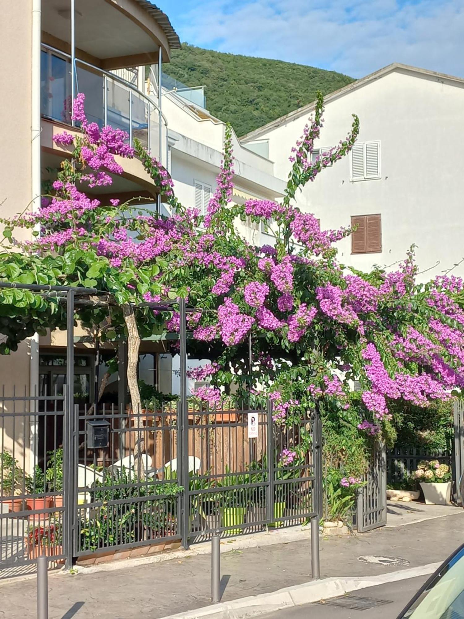Egon Apartments Будва Экстерьер фото